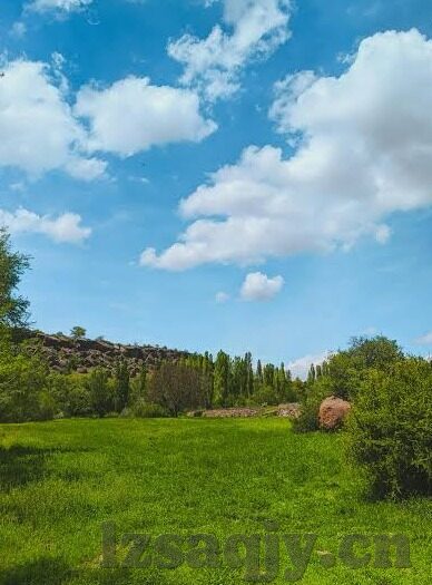 国产91麻豆免费视频-把握当下，唤起对原创国产内容的尊重与欣赏