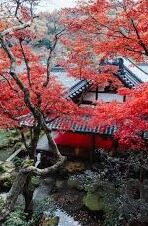 国产丝袜一区二区三区-国产丝袜，从一区到三区的时尚探索