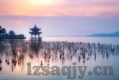麻豆传媒 国产-麻豆传媒的国产创意与文化科技交织的独特魅力